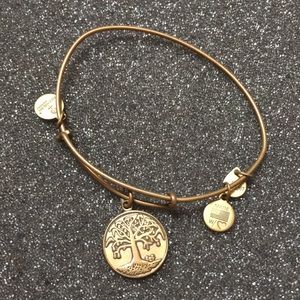 Alex and Ani 2014 tree of life gold bracelet